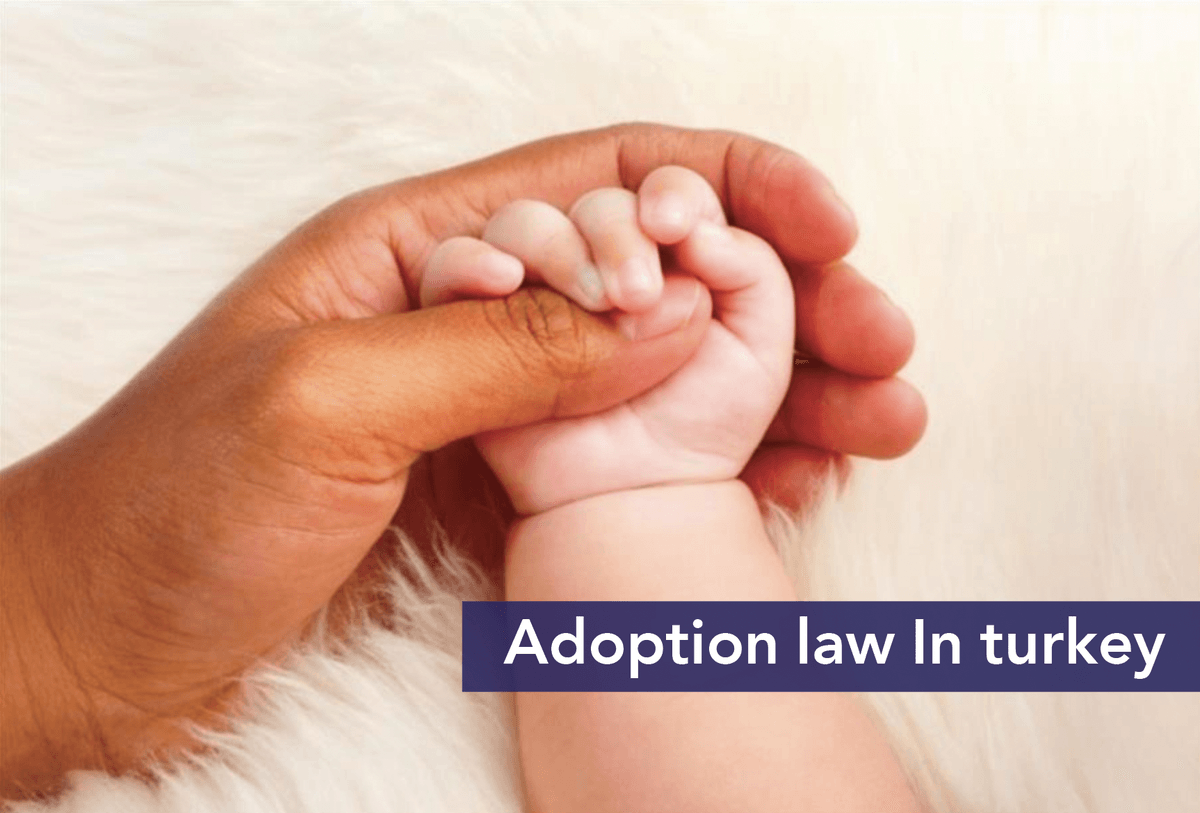 screen-shot-2022-06-05-at-100752-pm